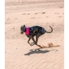 Dryrobe dog jacket camo/black - Image 5